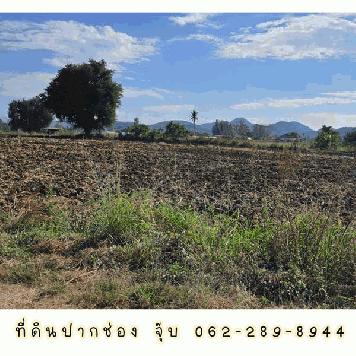ขายที่ดินปากช่อง ห่างจากถนนธนะรัชต์ 1.7 กม. 5-3-55.3 ไร่ น้ำไม่ท่วม (ราคาถูกสุดในโซนเดียวกัน) .
